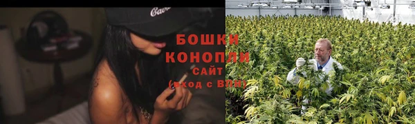 трава Арсеньев
