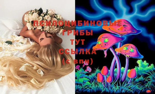 стафф Армянск