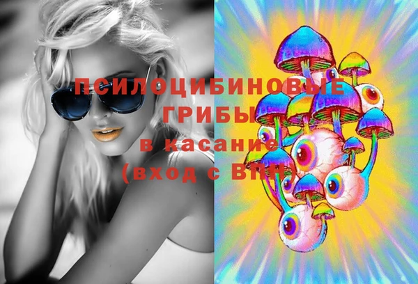 стафф Армянск
