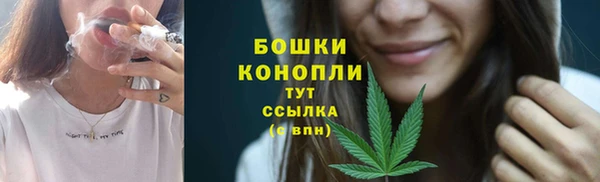 трава Арсеньев