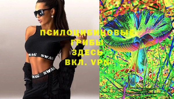 стафф Армянск