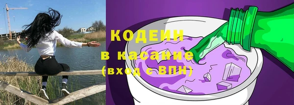 трава Арсеньев