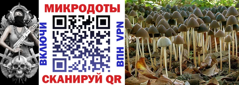 Псилоцибиновые грибы мицелий  площадка телеграм  Заречный 