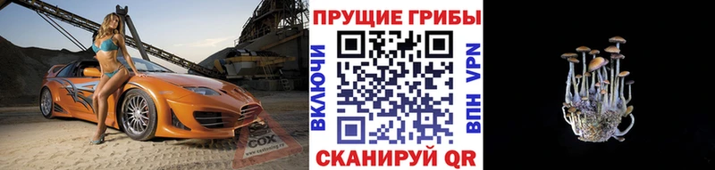 Псилоцибиновые грибы мухоморы Заречный