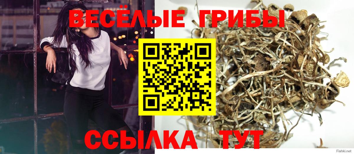 Галлюциногенные грибы прущие грибы Заречный