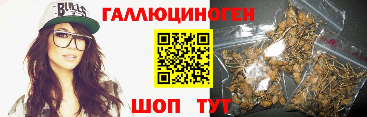Заречный  Галлюциногенные грибы Psilocybine cubensis  дарнет шоп  Вход с VPN 
